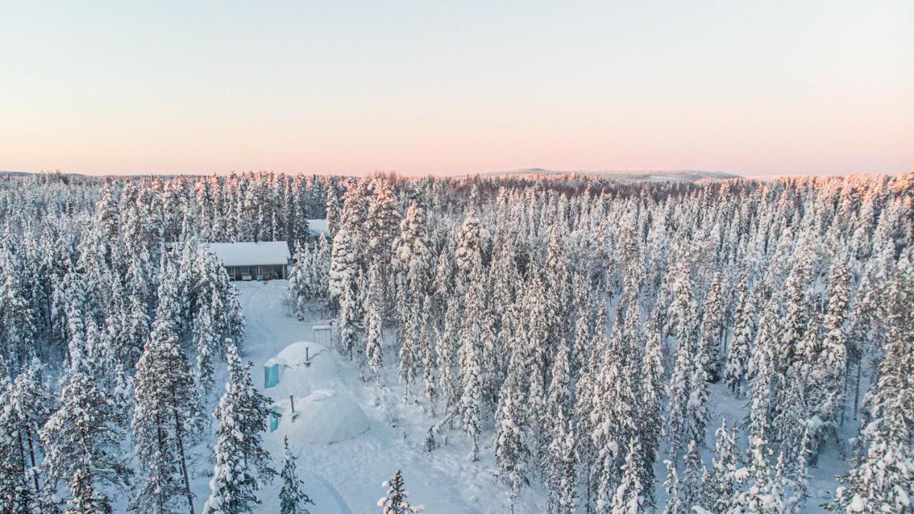Aurora Igloo Fireplace-Heated Tents In A Secret Forest With Private Jacuzzi And Shared Sauna Bathroom And Dog Friendly Rovaniemi Esterno foto