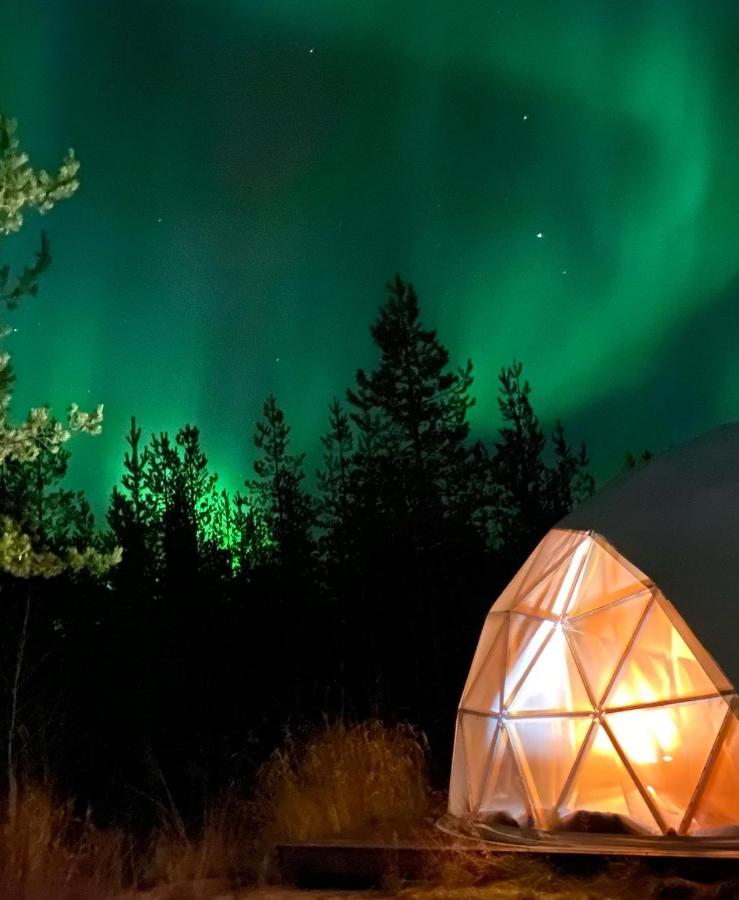 Aurora Igloo Fireplace-Heated Tents In A Secret Forest With Private Jacuzzi And Shared Sauna Bathroom And Dog Friendly Rovaniemi Esterno foto
