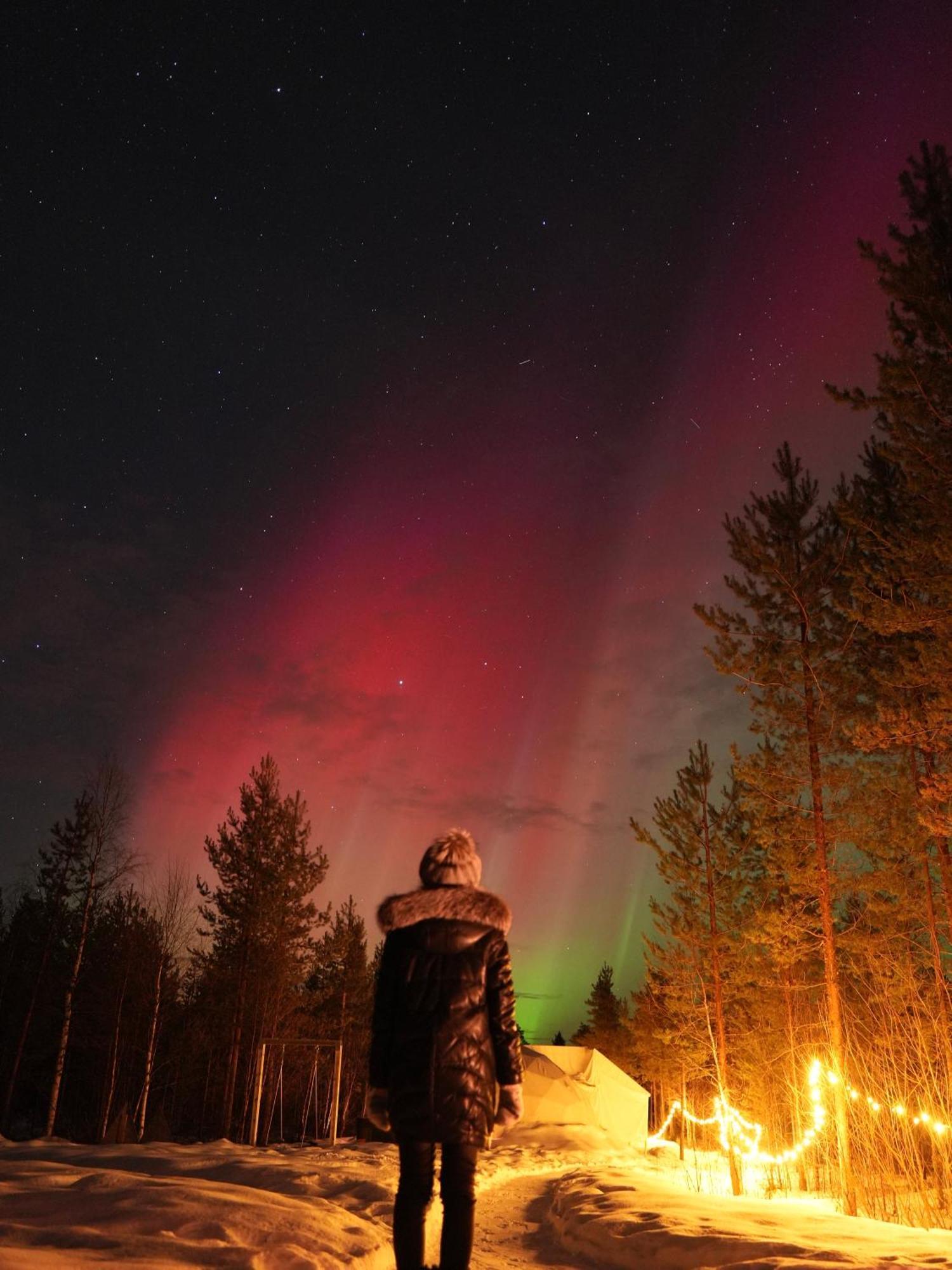 Aurora Igloo Fireplace-Heated Tents In A Secret Forest With Private Jacuzzi And Shared Sauna Bathroom And Dog Friendly Rovaniemi Esterno foto